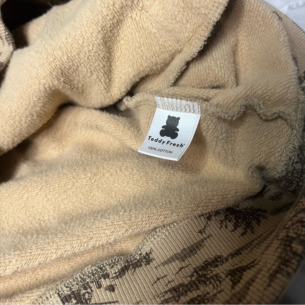 Teddy Fresh Beige Graphic Hoodie - Picture 5 of 7